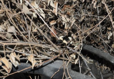 was_ist_das_2012-04.jpg (92.21 KiB) 350 mal betrachtet Was zeigt dieses Foto.............????