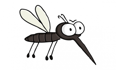 mosquito.png