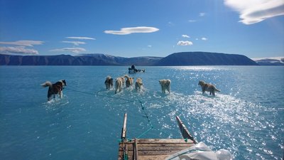 (c) Steffen Olsen, https://www.spiegel.de/wissenschaft/natur/groenland-wenn-schlittenhunde-durchs-wasser-waten-a-1273035.html