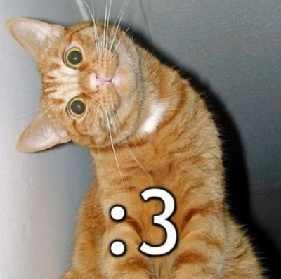 3-smiley-katze.jpg