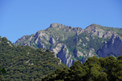 DSC00477_klein.JPG
