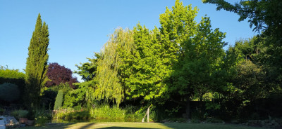 Garten_02.jpg