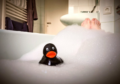Quack.jpg