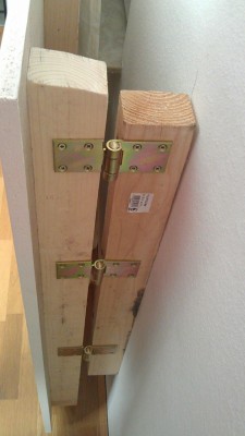 IMAG0874.jpg