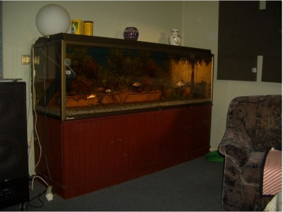 aquarium.jpg