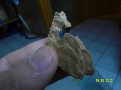 SDC11231.JPG