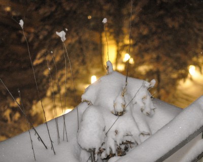 So sollte Weihnachten eigentlich aussehen