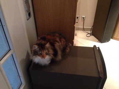 unser NuCat Betty schnurrt auf den NuVeros